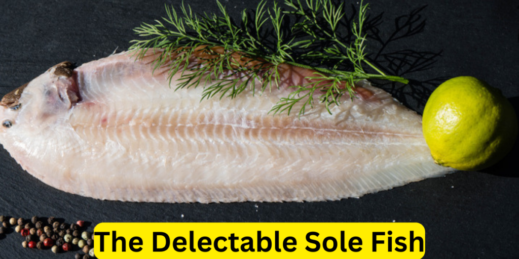 The Delectable Sole Fish