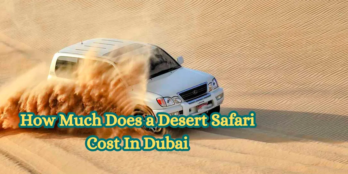 How Much Does a Desert Safari Cost In Dubai