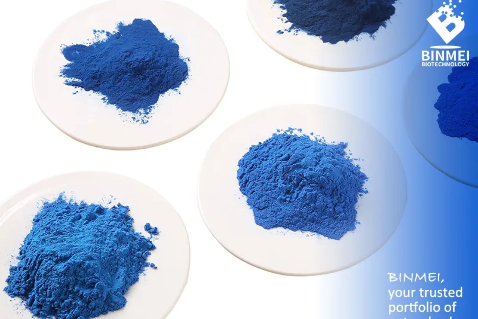 Benefits of Choosing BINMEI As Your Phycocyanin Powder Wholesaler