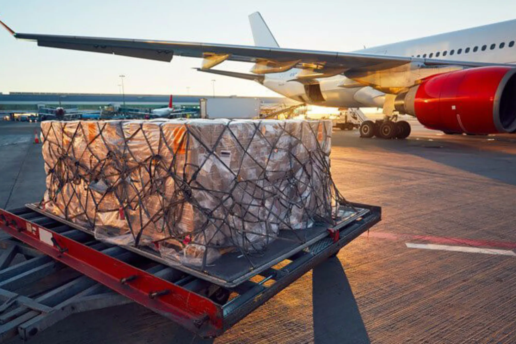 Premier Cargo Services in Abu Dhabi Connecting Global Destinations