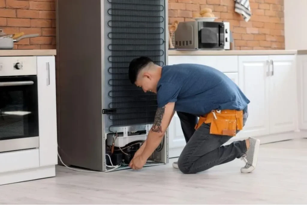 The Importance of Professional Appliance Repair