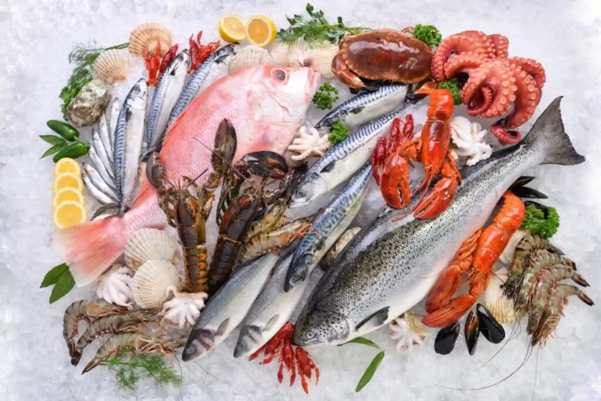 Ultimate Guide to Seafood Quality Offered by Buy Sardine Fish