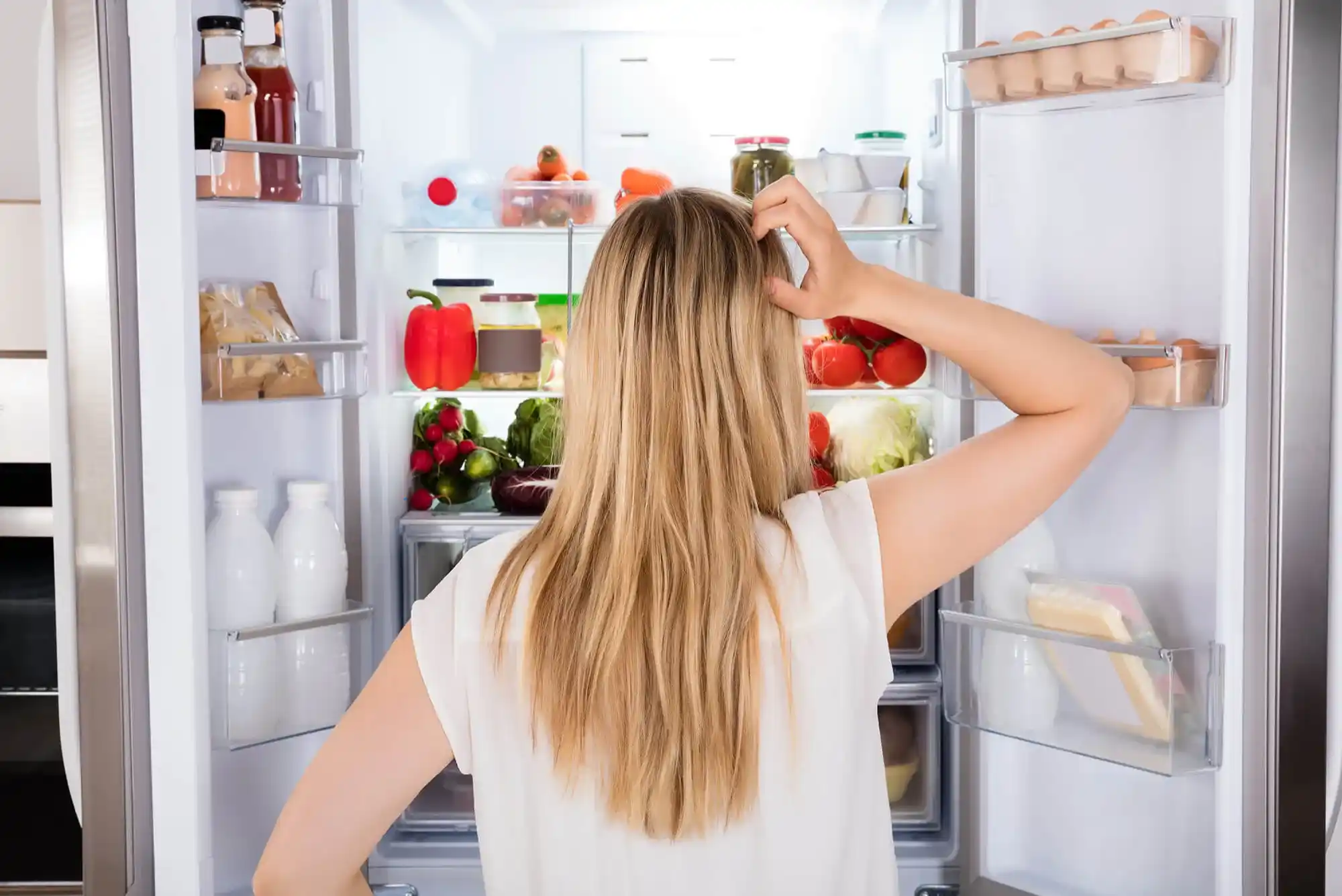 Why Refrigerators Consume Too Much Power